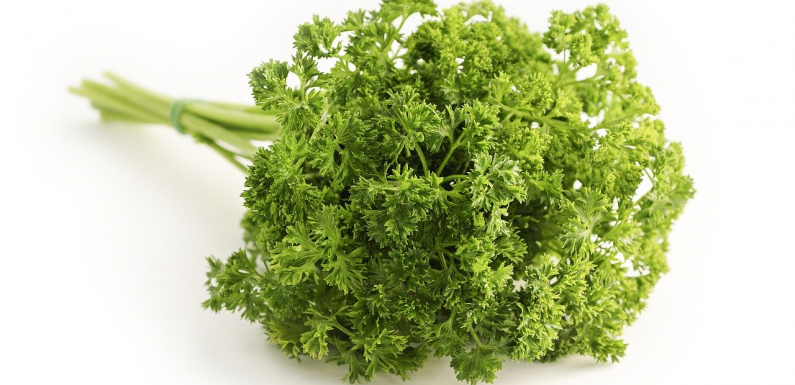 parsley