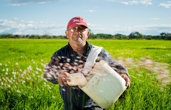 farmer