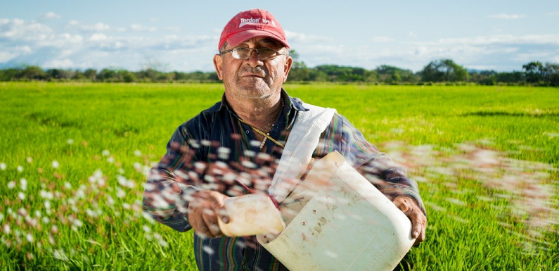 farmer